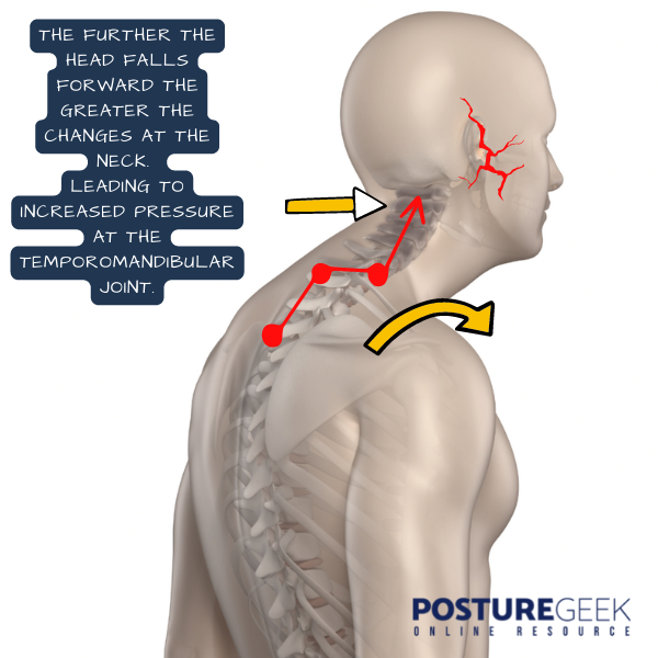 The head and neck position can influence TMD