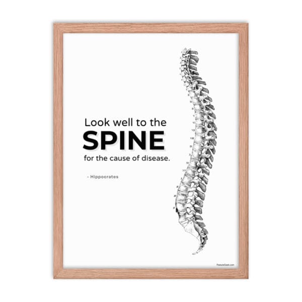 SPINE QUOTE from HIPPOCRATES, "Look Well to the Spine," Framed Poster, 3 Sizes - Image 6