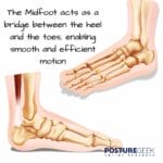 Midfoot: Importance, Care, and Common Issues