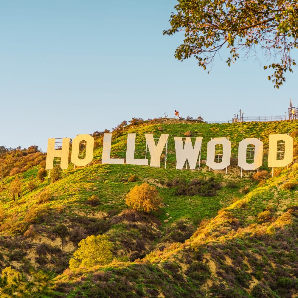 Find your posture expert in Los Angeles, California, USA