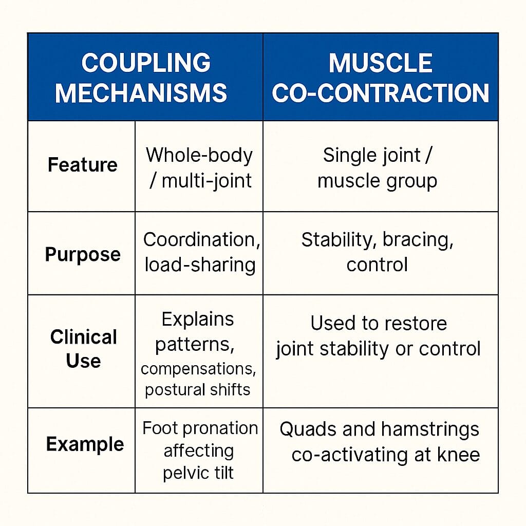Coupling Mechanism vs Muscle Co-contraction