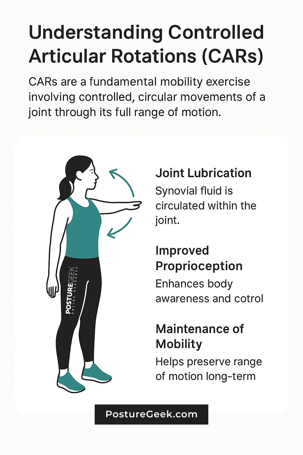 Understanding Controlled Articular Rotations (CARs)