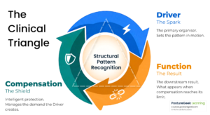 PostureGeek Learning Clinical Triangle