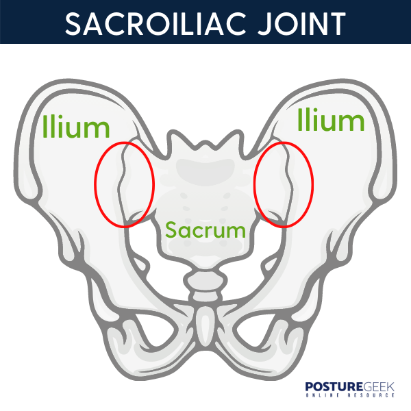 Sacroiliac Joint